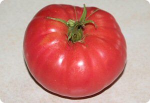 Tomato 'Gregori's Altai'