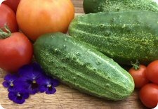 cucumber seeds