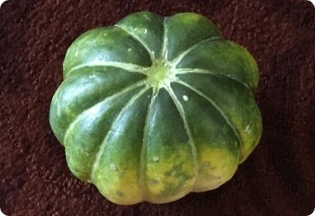 Melon 'Noir des Carmes'