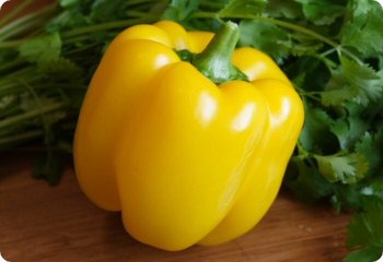 Pepper 'Golden Cal Wonder'