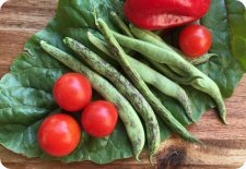 pole bean seeds