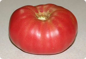 Arkansas Traveler tomato