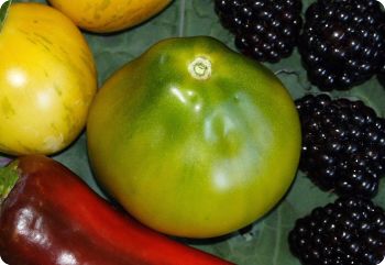 tomato cherokee green pear