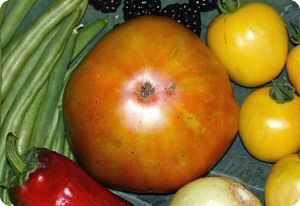 Tomato 'Everett's Rusty Oxheart'