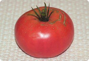 Tomato 'Marianna's Peace'