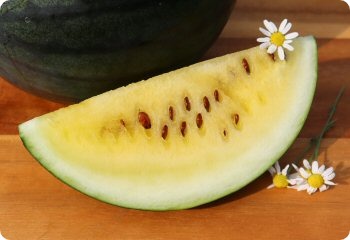 Watermelon 'Janosik'