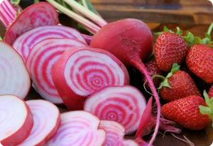 Beet Chioggia