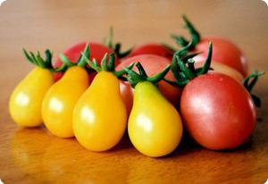 Tomato 'Yellow Pear'